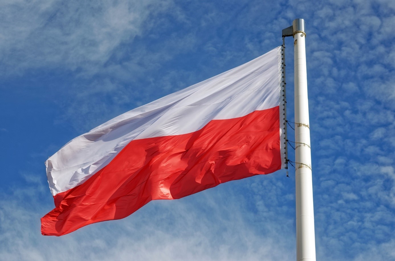 drapeau pologne